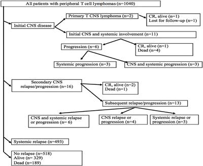 Peripheral T-Cell Lymphomas Involving the Central Nervous System: A Report From the Czech Lymphoma Study Group Registry